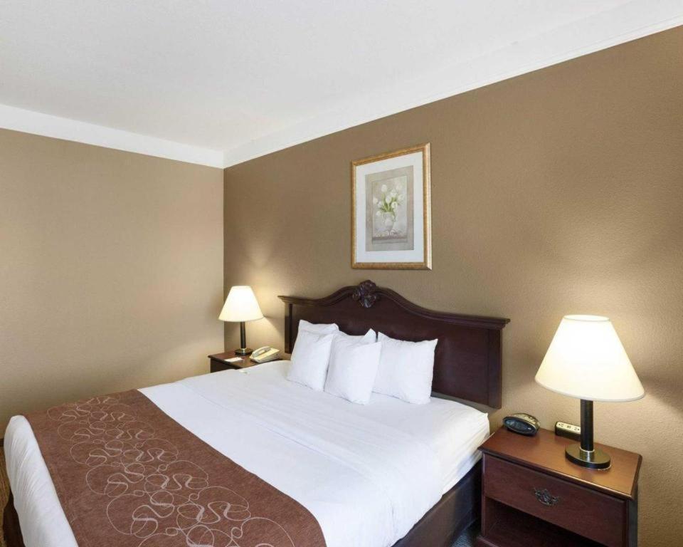 Comfort Suites Plainview Екстериор снимка